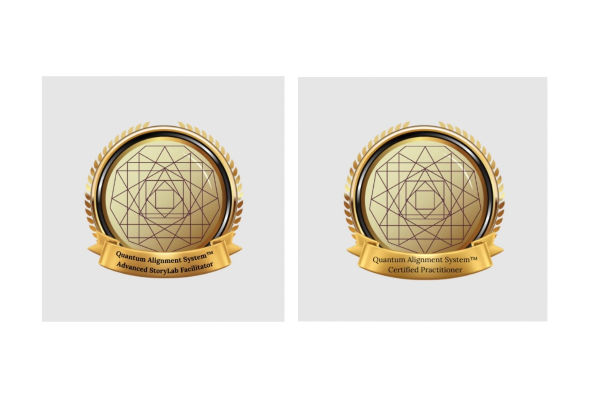 Certified Practitioner and Advanced StoryLab Facilitator